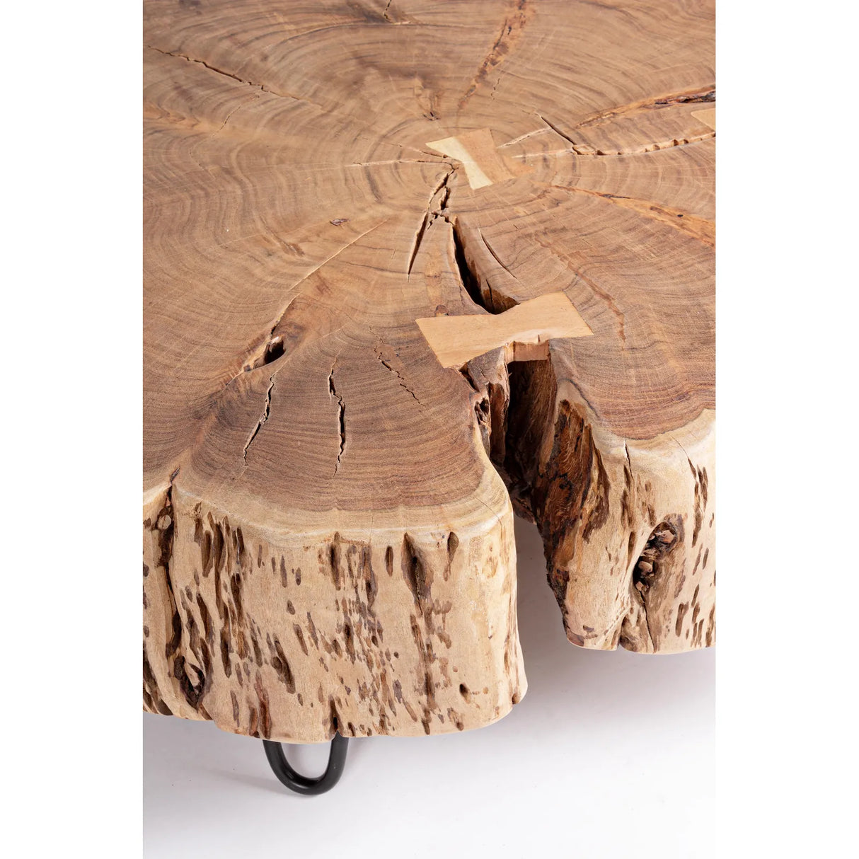 Couchtisch Baum Eneas - ZEN ZONE Furniture