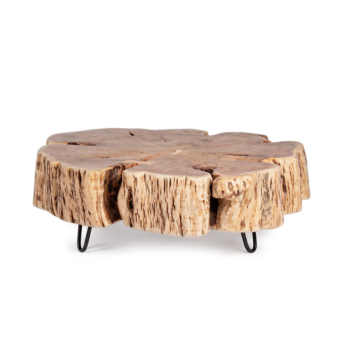 Couchtisch Baum Eneas - ZEN ZONE Furniture