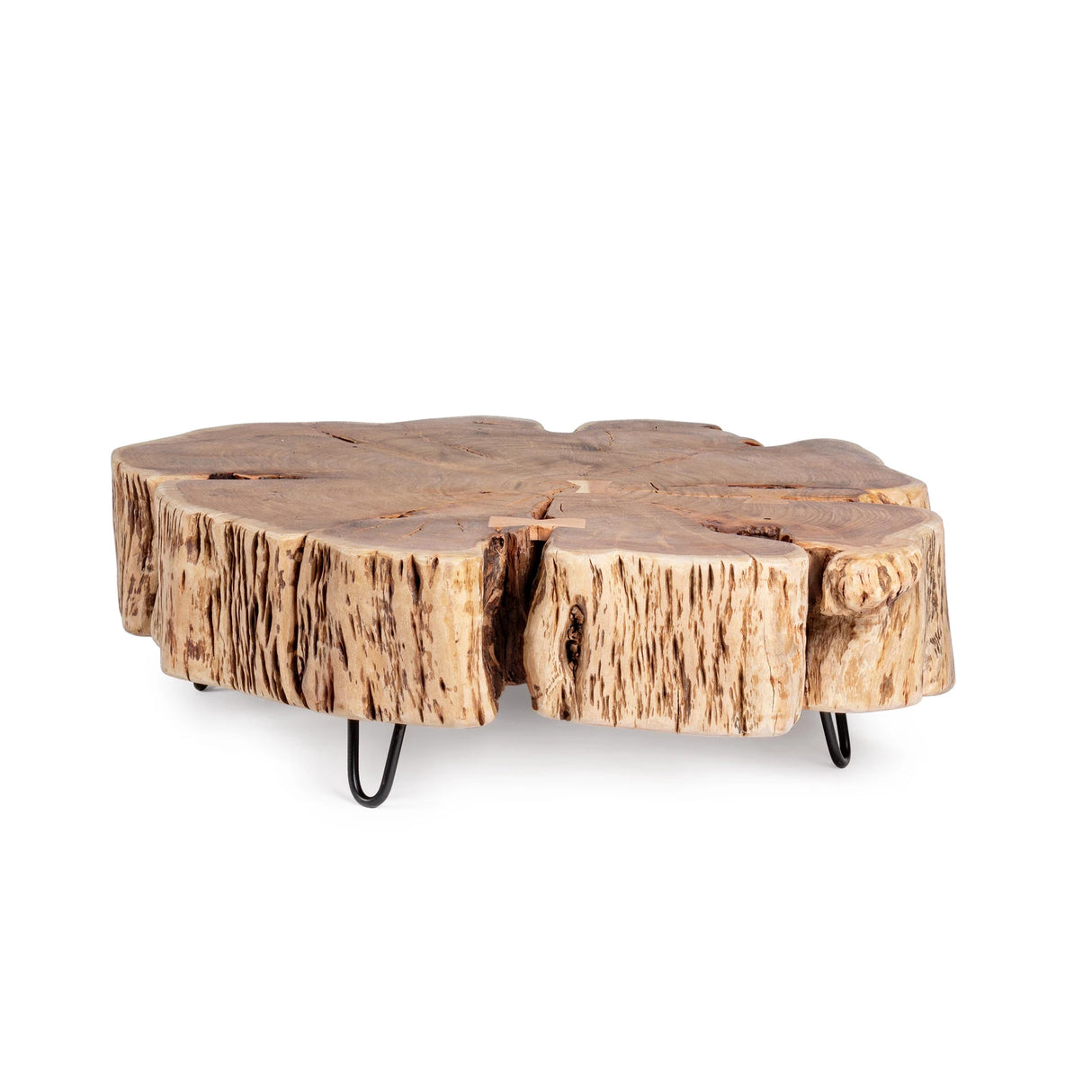 Couchtisch Baum Eneas - ZEN ZONE Furniture