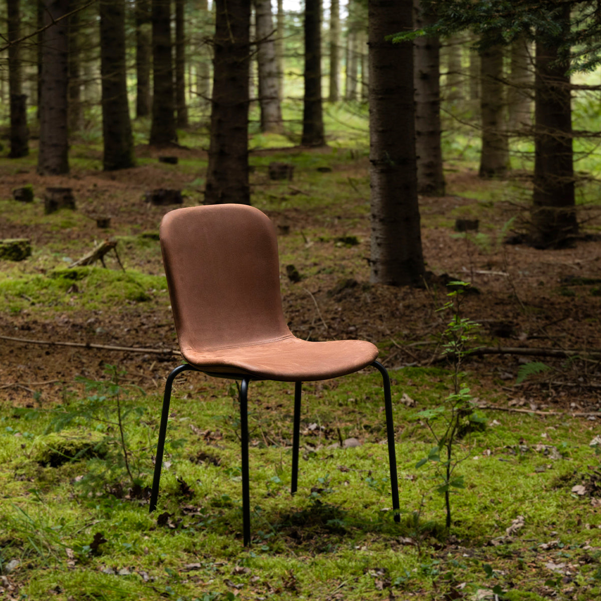 Chair no. One S1 - Luna Walnut - ZEN ZONE