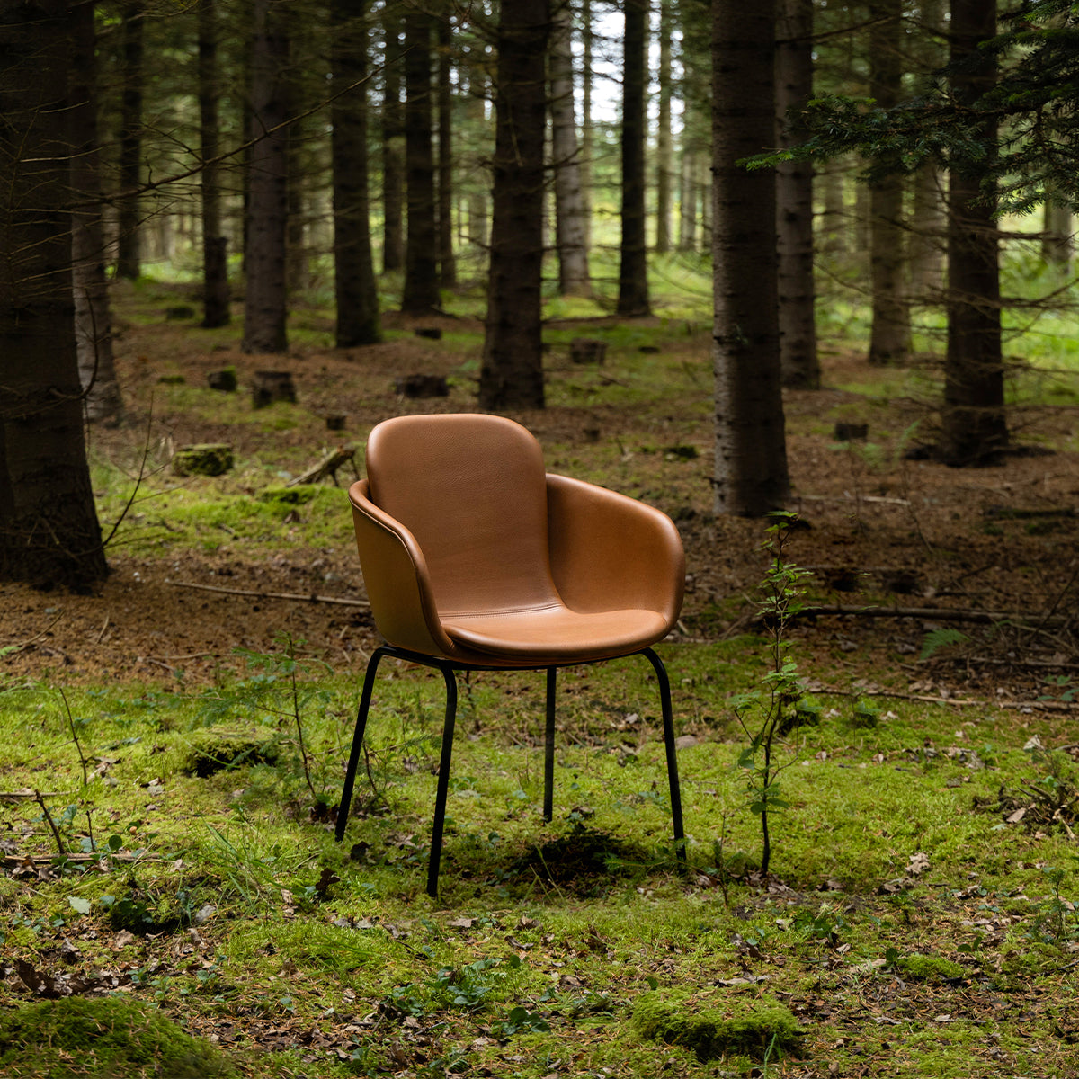 Chair no. One S2 - Terra Safari - ZEN ZONE