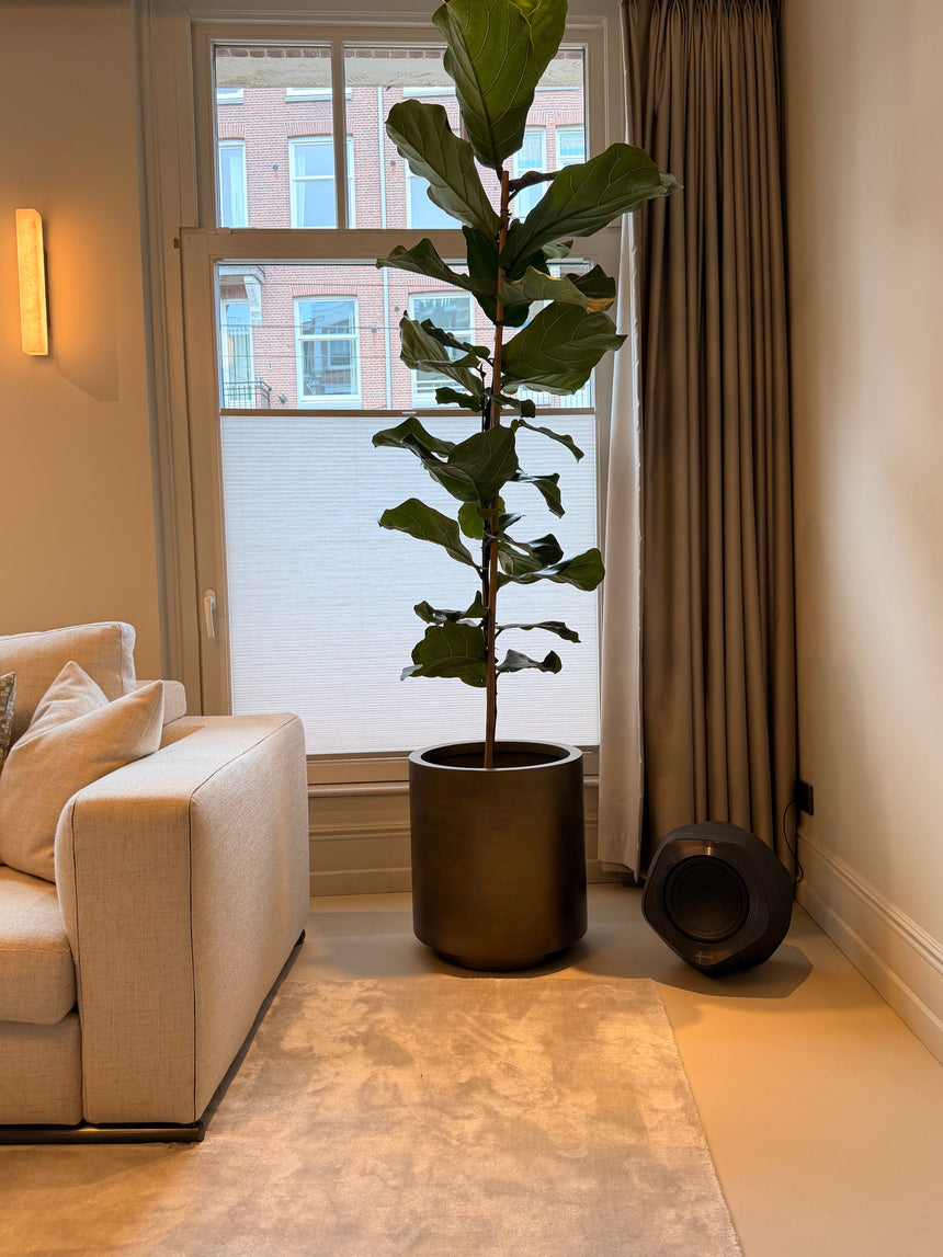RAFFLES Topf Rund - ZEN ZONE Furniture