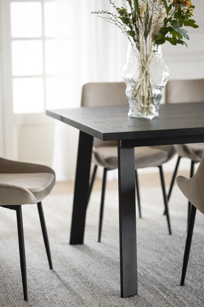 WINNIPEG Esstisch Schwarz 200x100x75cm - ZEN ZONE