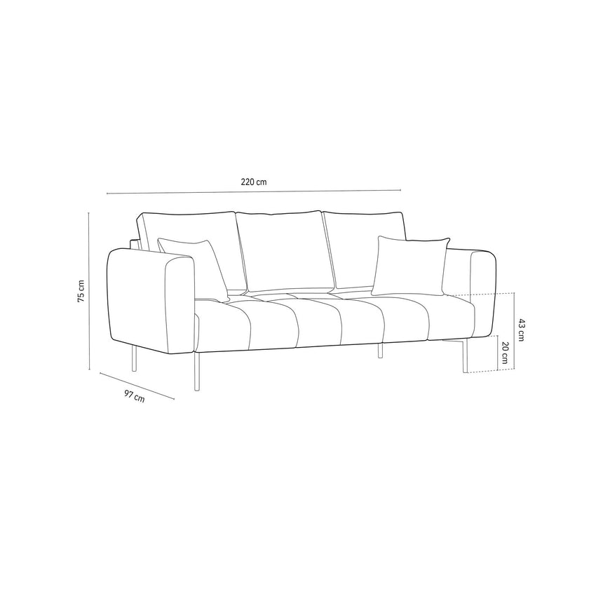 Hastings 3-Sitzer Sofa aus Samt in Dunkelgrau (Fancy 99), 220x97x75 cm von Cosmopolitan Design – Bild 3