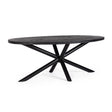 Esstisch Oval 200x110cm Hastings - ZEN ZONE Furniture