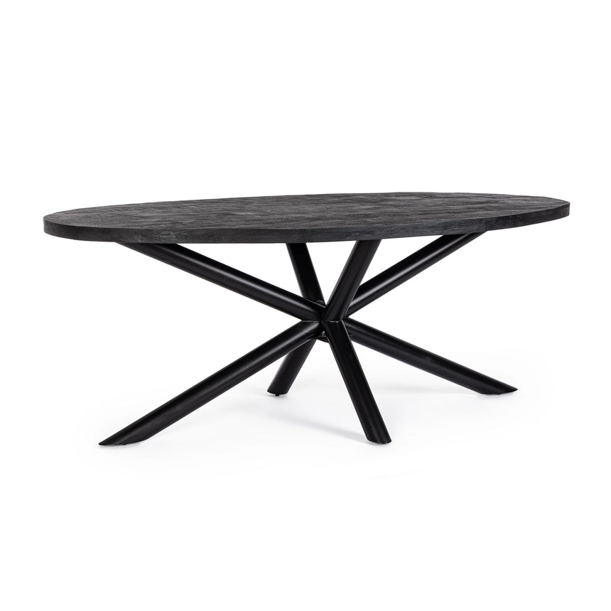 Esstisch Oval 200x110cm Hastings - ZEN ZONE Furniture