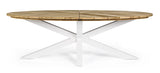 Gartentisch oval 240x110 Weiß RT01 Palmdale - ZEN ZONE Furniture