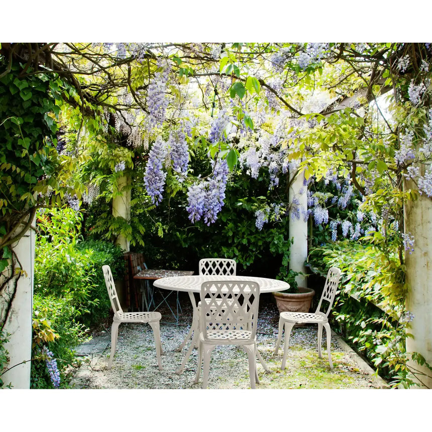 Faenza Stuhl Weiss - ZEN ZONE Furniture