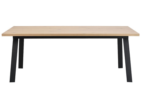 WINNIPEG Esstisch Weiß pigmentiert/Schwarz 200x100x75cm - ZEN ZONE