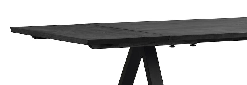 CARRADALE Esstisch Schwarz 220x100x75cm - ZEN ZONE