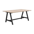 CARRADALE Esstisch Weiß pigmentiert/Schwarz A-Beine 170x100x75cm - ZEN ZONE