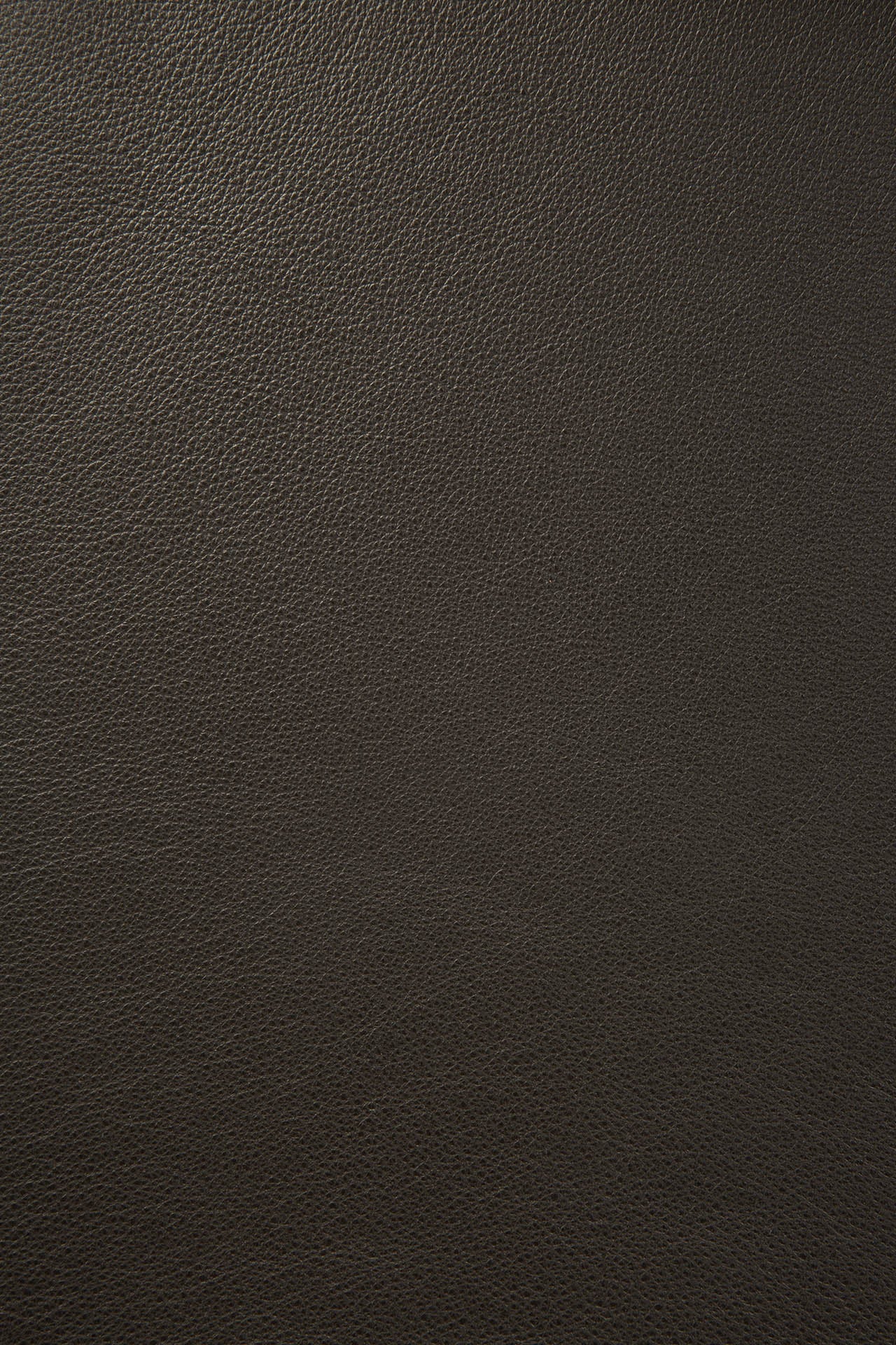 Bok Esszimmerstuhl - lackierte Eiche - braun - braunes Leder - 50 x 54 x 76 cm - ZEN ZONE Furniture