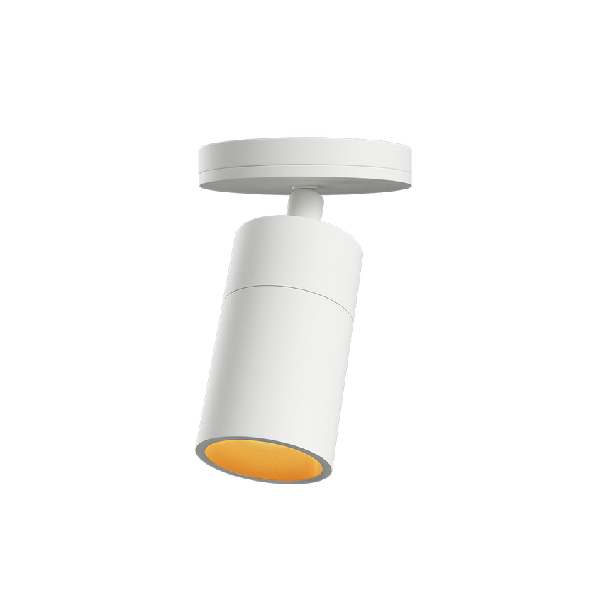 EXPO Ceiling White - ZEN ZONE