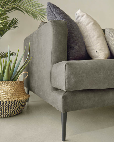 Tanya 2-Sitzer Sofa gepolstert in dunkelgrau 183 cm FSC Mix Credit - ZEN ZONE Furniture