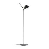 Aurelia Stehlampe, schwarz - ZEN ZONE Furniture