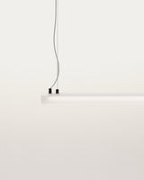 Vauxall Deckenleuchte aus Metall und mattiertem Glas - ZEN ZONE Furniture