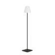 Outdoor Solar-Stehlampe Amaray Stahl in Schwarz 120 cm - ZEN ZONE Furniture