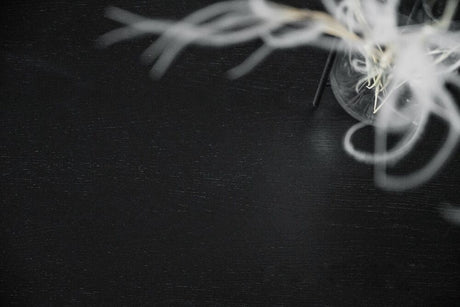 LOTTA Esstisch Schwarz 180x90x75cm - ZEN ZONE