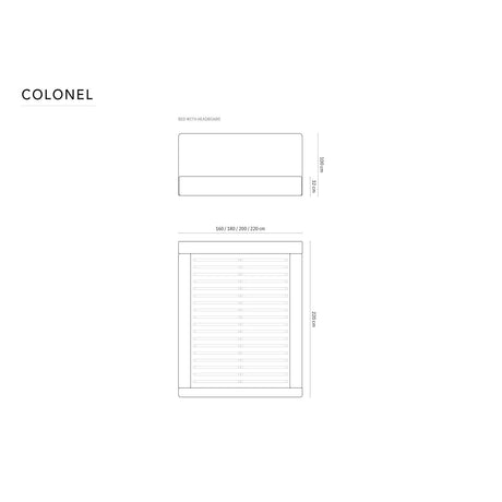 Colonel Bett mit Kopfteil und Stauraum aus Chenille in Rosa (Rebel 7), 200x200 cm von Cosmopolitan Design – Bild 2