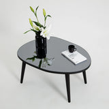 Couchtisch Gusto aus melaminbeschichteten Holz und gehärtetem Glas, 75×55×38 cm von Hanah Home – Bild 1