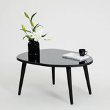 Couchtisch Gusto aus melaminbeschichteten Holz und gehärtetem Glas, 75×55×38 cm von Hanah Home – Bild 3