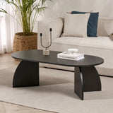 Couchtisch Melina aus melaminbeschichteten Holz in Holzschwarz, 120×60×40 cm von Hanah Home – Bild 1