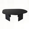 Couchtisch Rock aus melaminbeschichteten Holz in Schwarz, 100×60×35 cm von Hanah Home – Bild 9