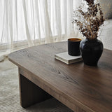 Couchtisch Theseus aus melaminbeschichteten Holz in Walnuss, 105×60×35 cm von Hanah Home – Bild 6