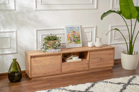 TV-Schrank Vanguard aus melaminbeschichteter Spanplatte in Atlantische Kiefer, 160×29,5×42 cm von Hanah Home – Bild 4