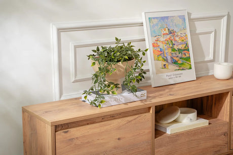 TV-Schrank Vanguard aus melaminbeschichteter Spanplatte in Atlantische Kiefer, 160×29,5×42 cm von Hanah Home – Bild 5