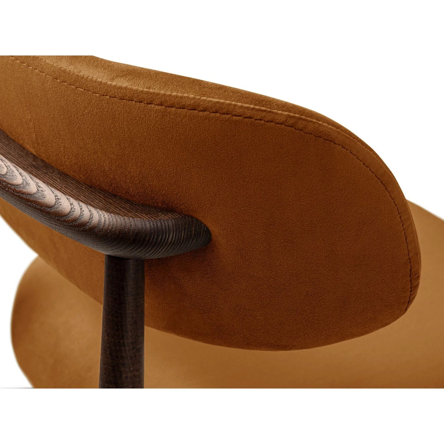 Evan Essstuhl, Gestell in Walnuss, aus Samt (Ma2286) in Camel von Micadoni – Bild 5