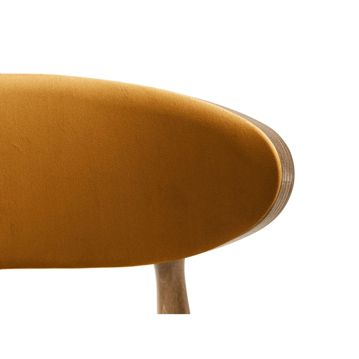 Rina Essstuhl, Gestell in Braun, aus Samt (Ma2288) in Mustard von Micadoni – Bild 5