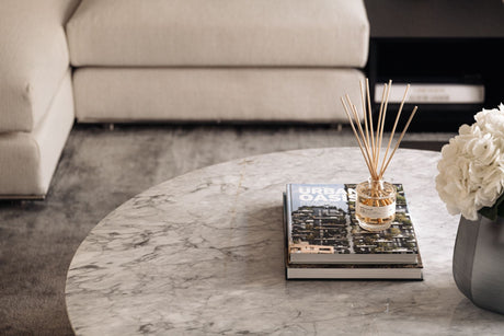 BRIO Couchtisch - ZEN ZONE Furniture